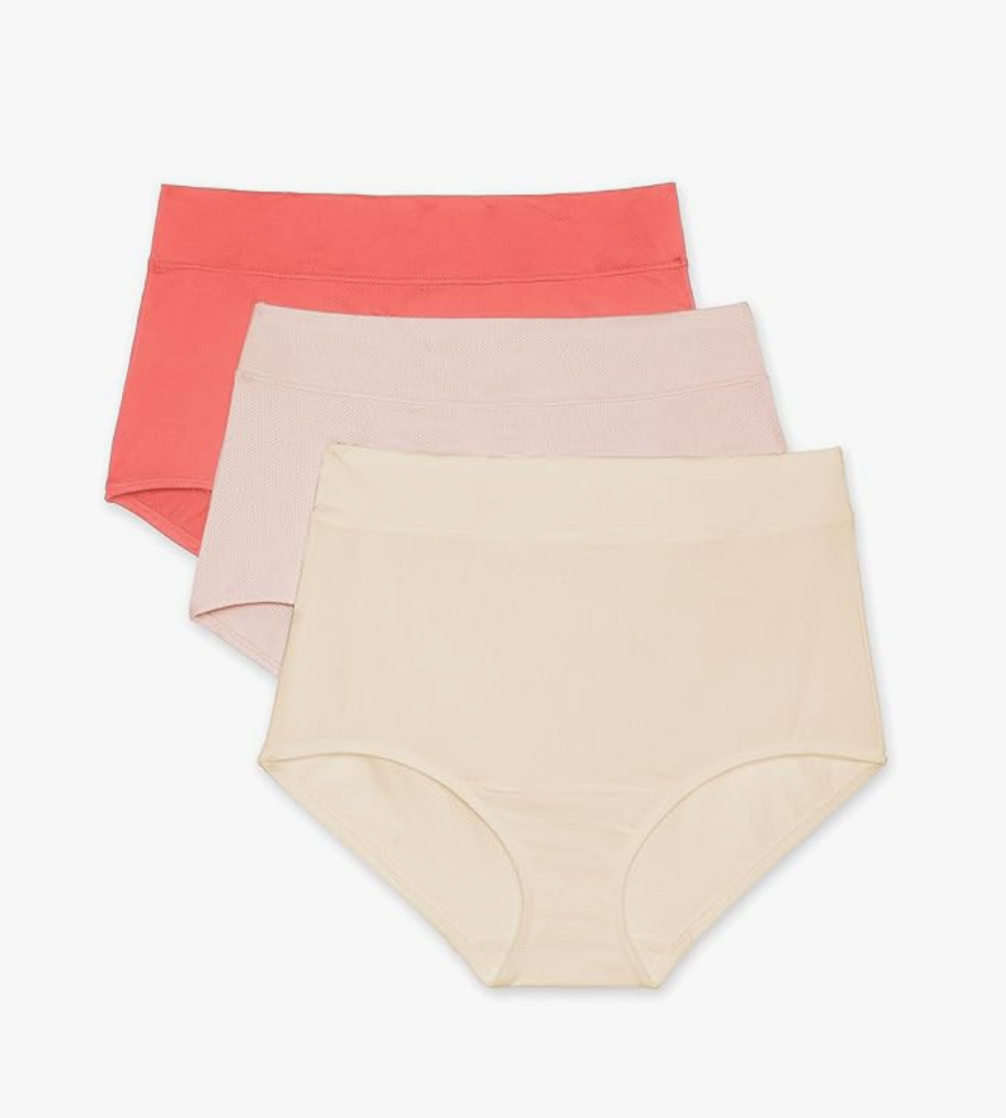 Warner's Women's Blissful Benefits Dig-Free Seamless Brief 3-Pack, L