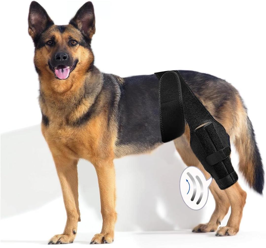 M Dog Leg Braces for Back Leg for Cruciate Ligament Injury with Side Stabilizers,Better Recovery for Knee Brace for Torn Acl Hind Leg,Adjustable Hip Dysplasia