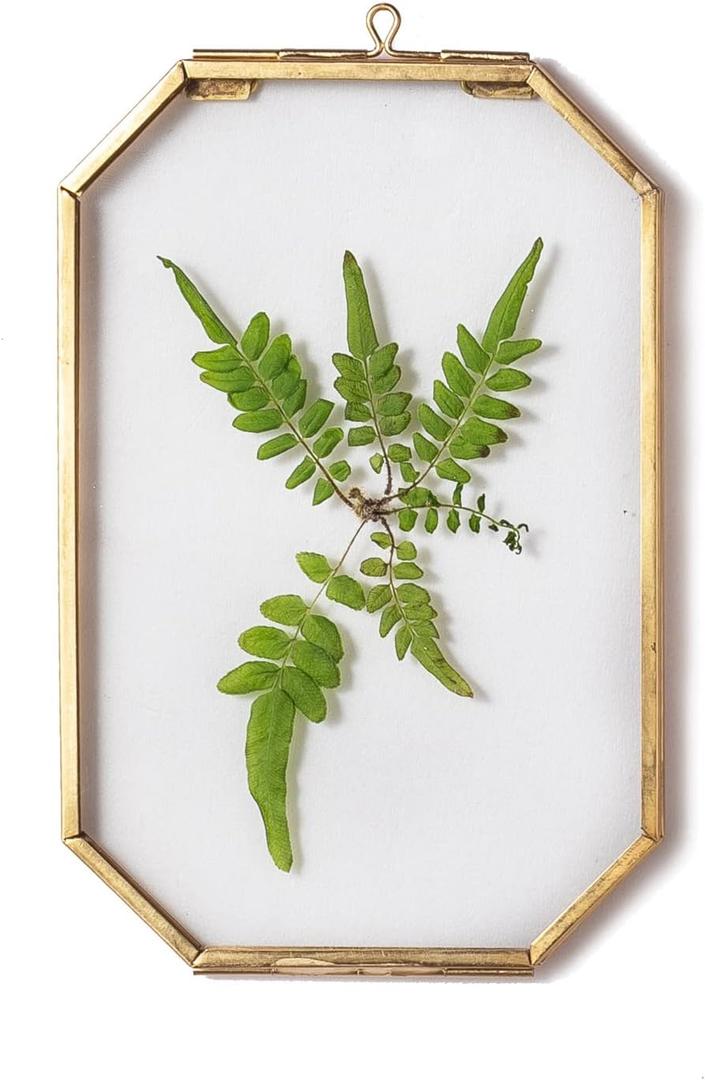 NCYP 4" x 6" Small Glass Floating Frame with Chain for Artwork Photo, Picture, Pressed Dried Flowers, Plant Specimen - Home Wall Hanging Decor, Octagon, Gold, Handmade (Glass Frame Only)
