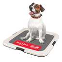 IRIS USA Secure Pee Pad Holder for Regular Sized Dogs, Fits 22"x22" Pad, Gray