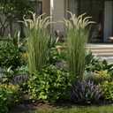 KOL Artificial 5ft Horsetail Reed Grass 59in Tall Faux Grass Plant in Pot, Indoor Outdoor Artificial Greenery for Home, Office, Wedding & Party Decor