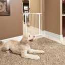 MidWest Homes for Pets 39-Inch High Walk-Thru Pressure Mounted Steel Dog Gate, Expands to 38 Inches Wide, Includes 3-inch Extensions, White