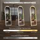 DUMOS Arched Full Length Mirror with Light - 20"×63" LED Floor Standing Mirror with 3 Color Lights & Wall Mounted for Bedroom, Dressing Room, Living Room, Bathroom