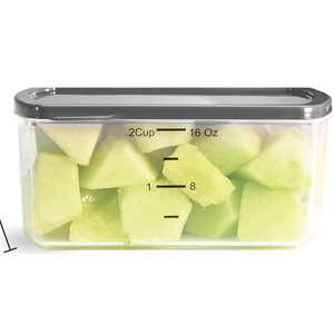 Fit & Fresh 2 PCS Small Plastic Containers With Lids 16 oz, Small Snack Containers With Lids For Adults and Kids, Reusable Leakproof Dressing and Condiment Containers With Two Attachable Ice Packs