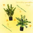 Artificial ZZ Plant for Indoor Decor 34" Fake Plant Potted Plastic Plants for Home Office Desk Farmhouse Room Bathroom Decor