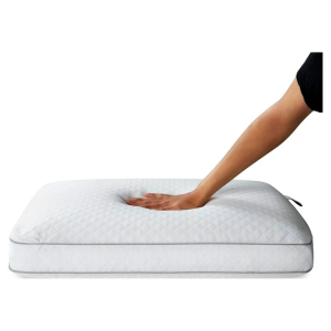 DI Sealy Essentials Memory Foam Bed Pillow
