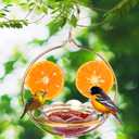Jealoeur Oriole Feeders for Outdoors Hanging with Fruit Holder, Golden Oriole Feeders, Easy to Disassemble and Wash, Used for Bird Watching in the Courtyard