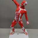 Clear Human Body Structure Model, 19.69 Inch High Human Body Model for Kids with Detailed Muscular & Skeletal Systems, Educational Clear Human Body Model for Classroom Demonstration, Medical Study