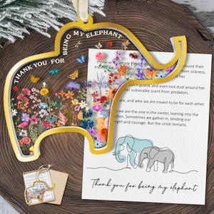 Thank You Gifts for Women, Sister, Friends, Coworkers - Friendship Elephant Ornament - Christmas, Birthday Gifts for Friends Sisters - Elephant Gift for Women - Acrylic Ornament & Card
