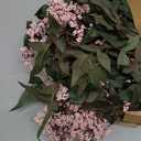 Zeyune 3 Pcs Spring Faux Berry Stem Pink Realistic Sedum Stem Spray Artificial Flowers Picks Branches Fake for Wedding Holiday Seasonal Farmhouse Mantel Harvest DIY Home Decorations(35 Inch)