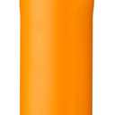 FreeSip Insulated Stainless Steel Water Bottle with Straw for Sports and Travel, BPA-Free, 24-oz, Orchid/Orange (Tropical) (24 Ounces)