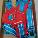 PHOEPET No Pull Dog Harness, Unique Colors Reflective Adjustable Dog Vest, with Soft Training Handle Metal Clips for  Dogs (Red Base & Teal Straps,M)