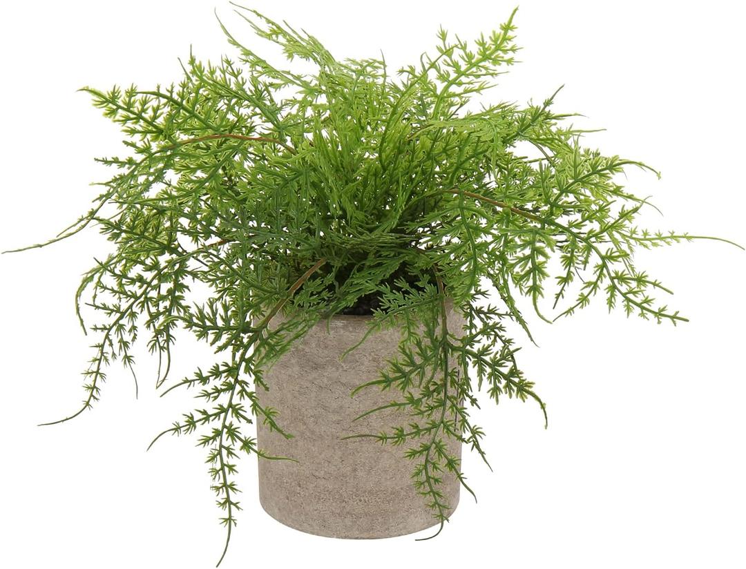 Briful Small Fake Plant Potted Plants Artificial Decor Plastic Asparagus Ferns Plant Faux Plants in Pots for Home Living Room Bedroom Desk Shelf Farmhouse Decoration (Color #03)