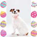 Unique style paws Easter Dog Collar with Bow Easter Eggs Chicken Collar with Flower for Small Medium Large Boys Girls Dogs (XL)