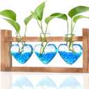 Nacome Plant Terrarium Propagation Stations: Mothers Day Gifts for Mom Plant Lovers Women Wife Daughter - 3 Bulb Glass Vase with Wooden Stand Tabletop for Hydroponics Home Garden Wall Decor