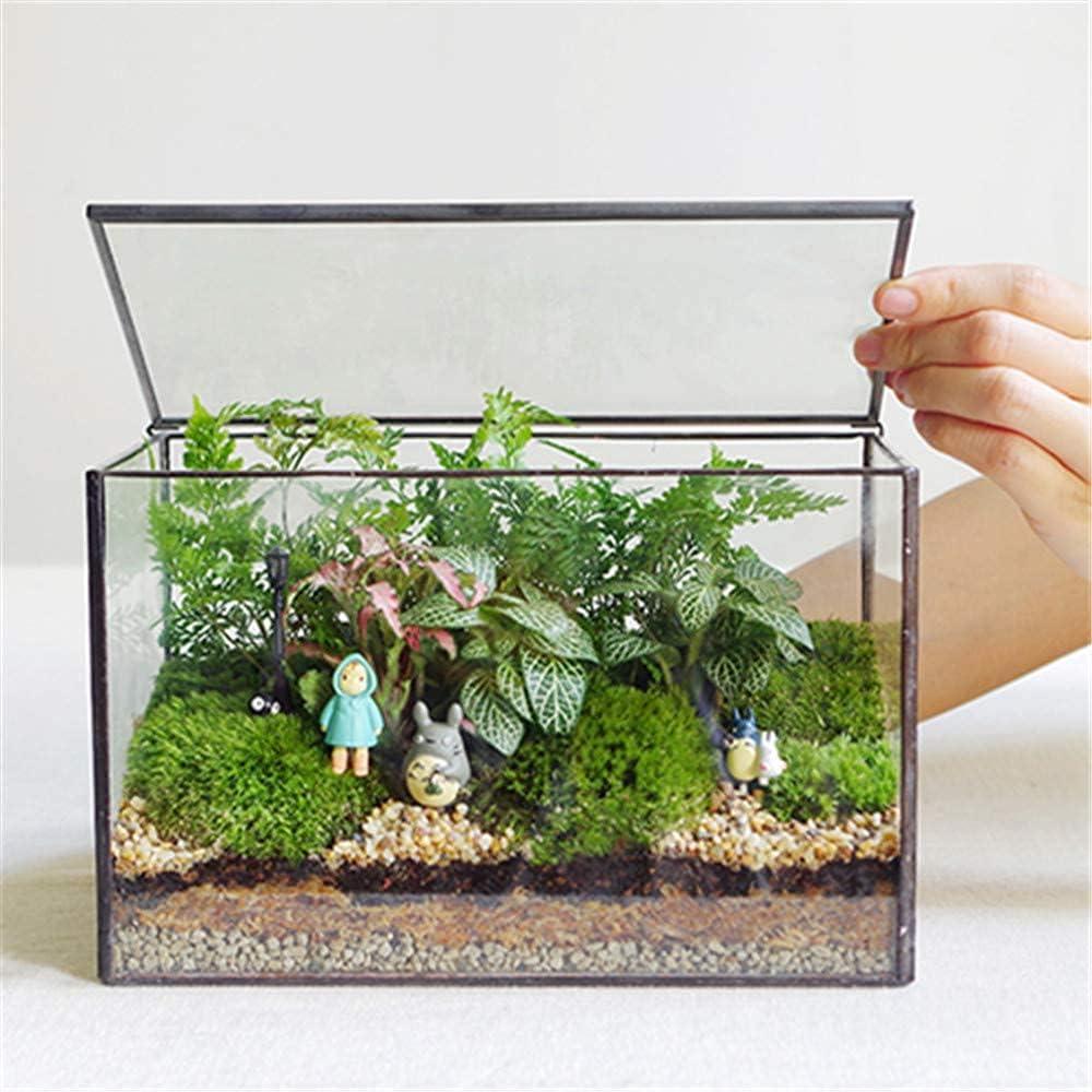 Glass Plants Terrarium with Lid,Rectangle Black Pot Box for Indoor Plants,Geometric Clear Containers for Moss and Succulent,Tabletop Decor DIY Gift,8.3L x 4.7W x 5.5H