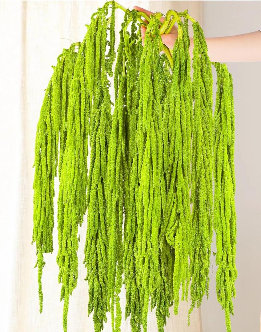 10Pcs Neon Green Dried Amaranthus Hanging Flowers 23" Dyed Natural Preserved Flowers for Wedding Arch, Floral Garland, Rustic Vase Decor