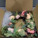 20" Peony Wreath for Front Door Spring Summer Artificial Pink Peony Floral Wreath for Wall, Window, and Wedding Decor