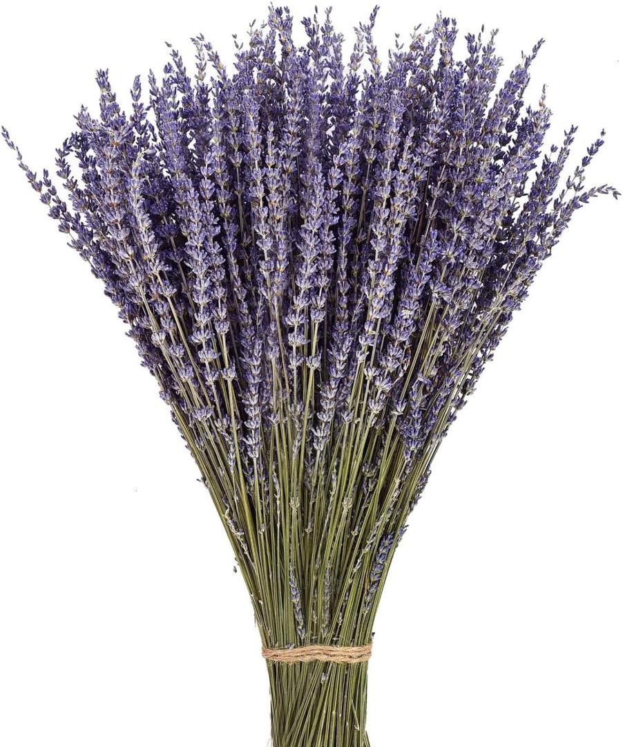 June Fox Dried Lavender Flowers 270-300 Stems 100 Natural Dried Lavender Bunches for Home Decoration, Home Fragrance, Handmade Soap Flower