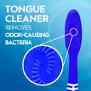 3 x Oral-B Toothbrush Dual Clean, Medium, 6 Count