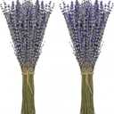Timoo Dried Lavender Bundles 100 Natural Dried Lavender Flowers for Home Decoration, Photo Props, Home Fragrance, 2 Bundles Pack