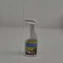 Grandma's Secret Wrinkle Remover-16 Ounces, 16 Ounces