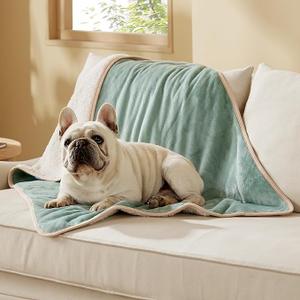 Bedsure Waterproof Dog Blankets for Medium Dogs - Medium Cat Blanket Washable for Couch Protection, Sherpa Fleece Puppy Blanket, Soft Plush Reversible Throw Furniture Protector, 30"X40", Light Green