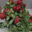 Jexine 60 PCS Artificial Roses Bulk Silk Flowers with Long Stems, Realistic Faux Rose Bouquet for Wedding Centerpieces, Valentines Party, Home Decor(Burgundy)