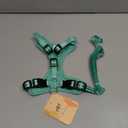 BEAUTYZOO Cat Harness and Leash Set Escape Proof, Small Cat Vest Harness for Walking, Adjustable Step in Kitten Harnesses for Travel, Soft Lightweight Outdoor Cute Kitten Harnesses, Pineapple S