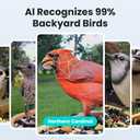 Birdfy Smart Bird Feeder with Camera for Rookie, Camera Bird Feeder Dual Night Vision, AI Recognition IP66 Waterproof for BirdLovers, 1.3L Capacity