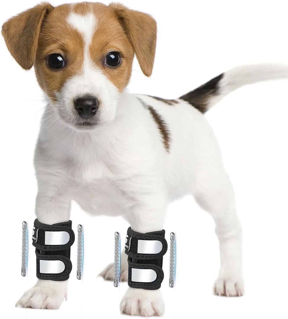 Pair of Dog Leg Braces for Front Hock Joint, Dog Front Leg Wrist Brace with Metal Spring Inserts, Dog Leg Sleeve with Reflective Straps, Prevents Injuries and Sprains, XS/S (XS/S)