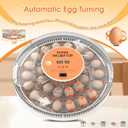 30 Egg Incubator with Automatic Egg Turning, Temperature Control and Humidity Monitor Incubators for Hatching Eggs, Chicken, Ducks, Goose, Pigeon, Quail, Parrot Incubator for Farm, Lab