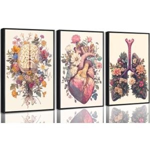 XCDVVAW Stretched Canvas Anatomy Wall Art Set of 3, Floral Human Organ Prints, Vintage Medical Heart Brain Lungs Artwork, Ready to Hang Boho Decor for Nursing School, Doctor Office & Classroom
