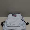 JanSport Central Adaptive Backpack  Wheelchair & Walker Compatible, Tuck-Away Shoulder Straps, Adjustable Backrest Loops & Anchor Straps, Iconic Design, Blue Dusk (21L)