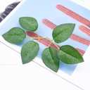 Woohome Bulk Rose Leaves 250 PCS Artificial Green Leaves Artificial Fake Leaves for DIY Wedding Bouquets Party Decorations Rose Vine Wreath Garlands Supplies