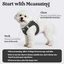 rabbitgoo Dog Harness Small Medium Sized and Leash Set, Step in Soft Light Puppy Vest, Breathable Mesh Pet Harness, Reflective for Safe Easy Walking, Black L