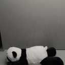 The Petting Zoo Panda Stuffed Animal Plushie, Gifts for Kids, Earth Keeperz Wildlife Animals, Zoologee Black Panda Plush Toy, 2 fit