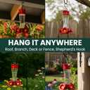 Perky-Pet Glass Hummingbird Feeders for Outdoors with Ant Moat, Bee Guards, & Perches, 8oz Nectar Capacity, Wide-Mouth Bottle for Easy Filling & Cleaning, Outdoor Garden Dcor, 203CPBN-2 (Pack of 2)