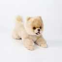 16 Inch- Pomeranian Stuffed Animals Toy Dog,Plush Puppy Realistic Cute Toy Dog Present Gift for Girls Boys