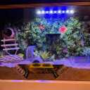 Hermit Crab Underground Tunnel Cave,Hermit Crab Tank Accessories Hideout & Hiding Habitat Climbing Decor,Habitat Decor for Pet Crab (Yellow)