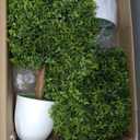Boxwood Balls 24 High - Topiary Trees Artificial Outdoor Set of 2 - Potted Artificial Trees - Boxwood Tree - Faux Plants Outdoor or Indoor - Topiary Ball for Front Porch Decor Tree Artificial (Topiary Set of 2)