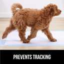 Gorilla Guard Disposable Puppy Pads, 5 Layer Pee Pads for Dogs, Absorbent Diaper Changing Pad, Dog Potty Training Supplies, Quick Dry Pet Housebreaking Essentials for Puppies, 50 Count 22x22 in