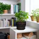 G EPGardening Ceramic Pot for Plants 5.5 Inch - Ceramic Plant Pot Indoor with Drainage Hole and Saucer, Round Boho Planter for Indoor Plants Outdoor, Housewarming Gifts, Garden Office Decor, Black