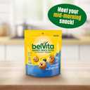 2 x belVita Energy Snack Bites, Blueberry and Sunflower Seed, 5 oz (EXP 06/01/26)