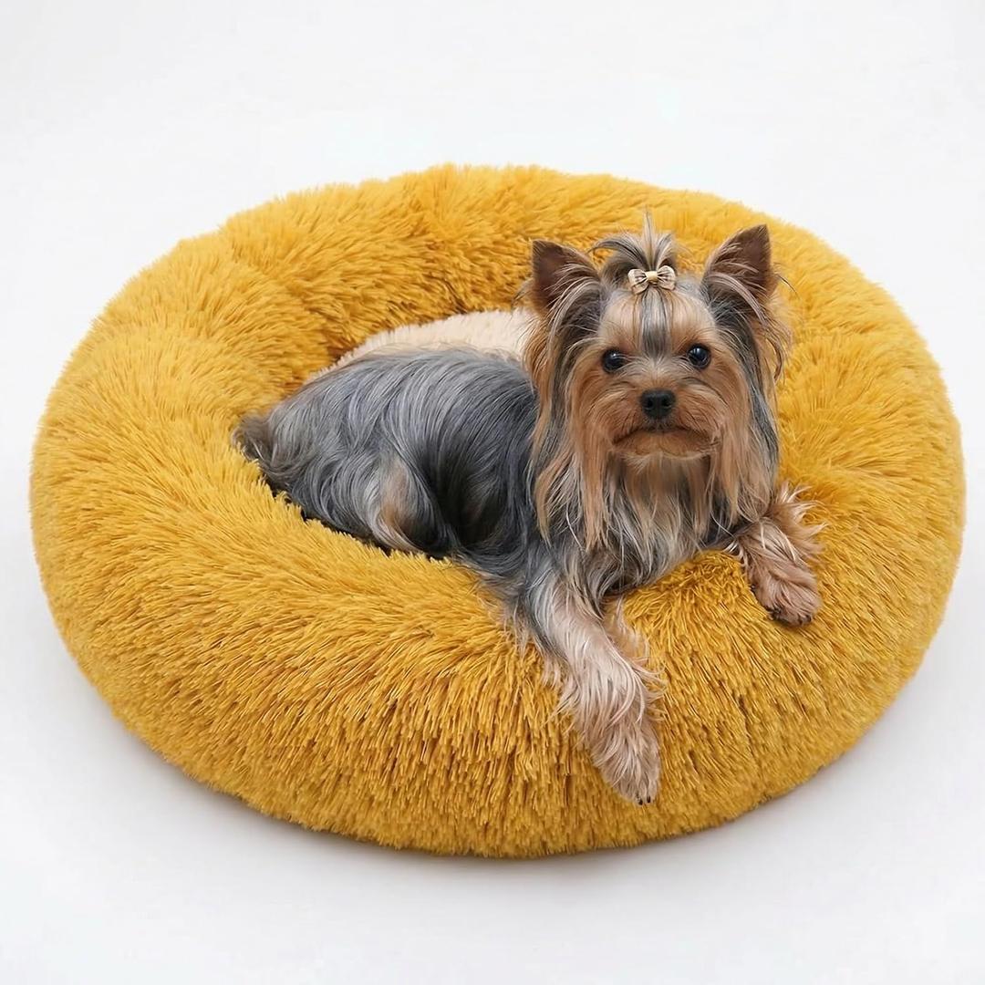 Calming Donut Dogs Beds for Small Dogs Washable,19inch Fluffy Round Puppy Bed for Puppies,Cats & Toy Breeds with Raised Rim,Fits up to 15 lbs Pets,Orange