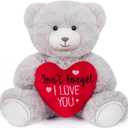 My OLi Stuffed Bear Animals with Red Heart 7 Plush Teddy Bear Toys Valentines Bear for Babies Girlfriend Wife Mom Gray