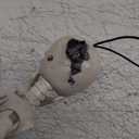 WODMAZ 5 Packs Halloween Skeletons, 16" Halloween Full Body Skeleton with Posable Joints for Haunted House Graveyard Props Decor