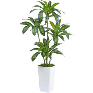 Artificial Dracaena Tree Artificial Silk Tree Faux Tree Fake Tropical Yucca Floor Plant with White Tall Planter (1, White Tall Planter, 5FT)