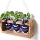Plant Terrarium Propagation Stations Hydroponics Home Garden Decoration Gift for Women with Wooden Stand Heart Shaped Colored Glass Vase (Blue)