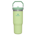STANLEY IceFlow Stainless Steel Tumbler - Vacuum Insulated Water Bottle for Home, Office or Car Reusable Cup with Straw Leak Resistant Flip Cold for 12 Hours or Iced for 2 Days